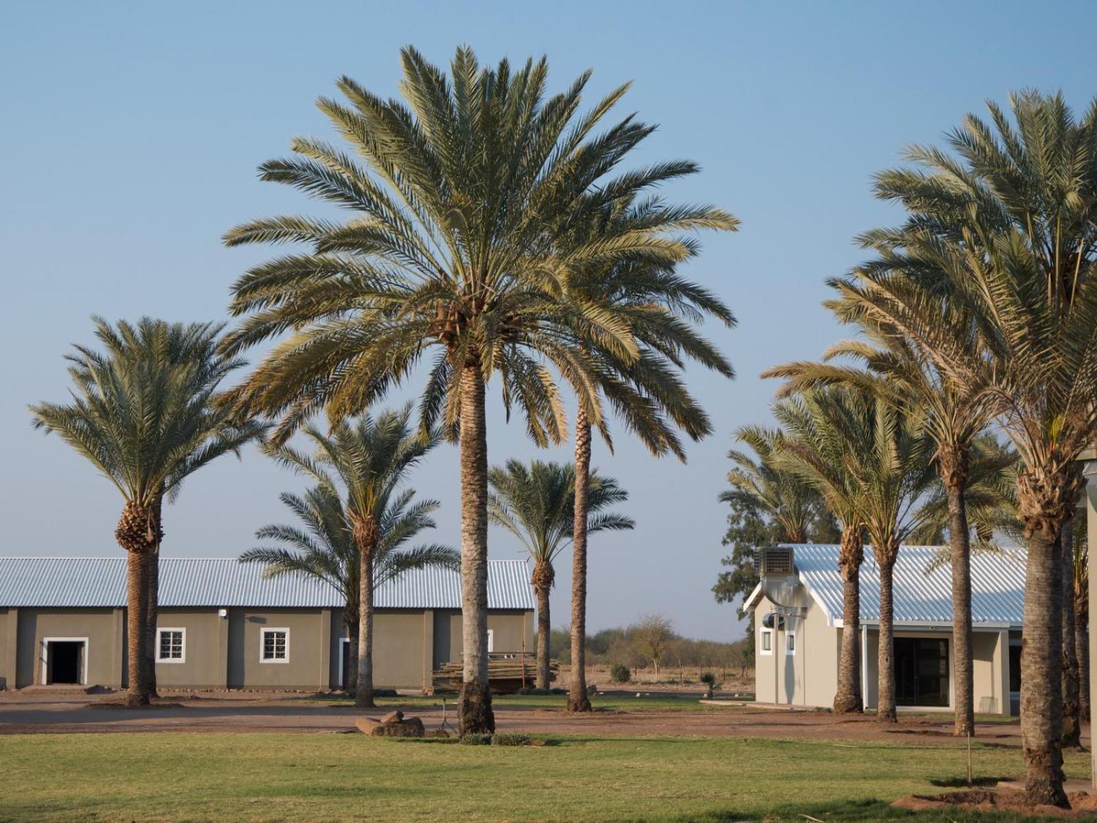 מריינטל Flying Ostrich Guesthouse & Self-Catering Accommodation מראה חיצוני תמונה
